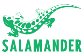 Salamander
